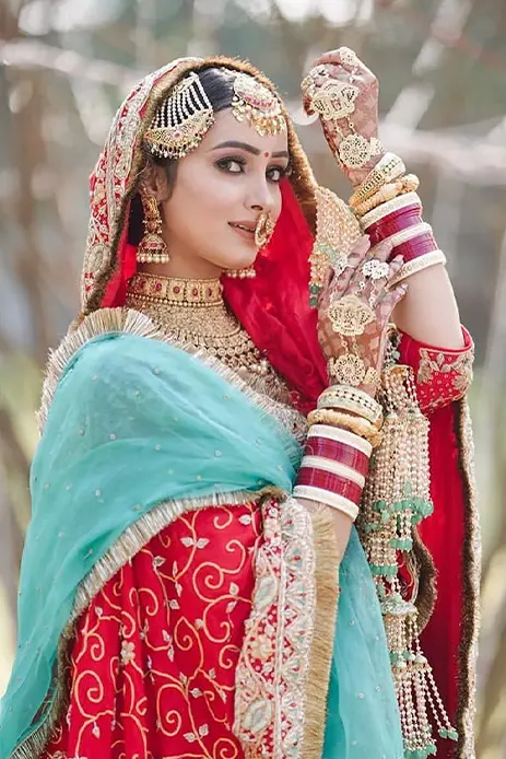 30+ Ravishing Punjabi Bride Wedding Dress For The Perfect Bridal Look |  Indian wedding dress, Wedding dresses images, Indian bridal