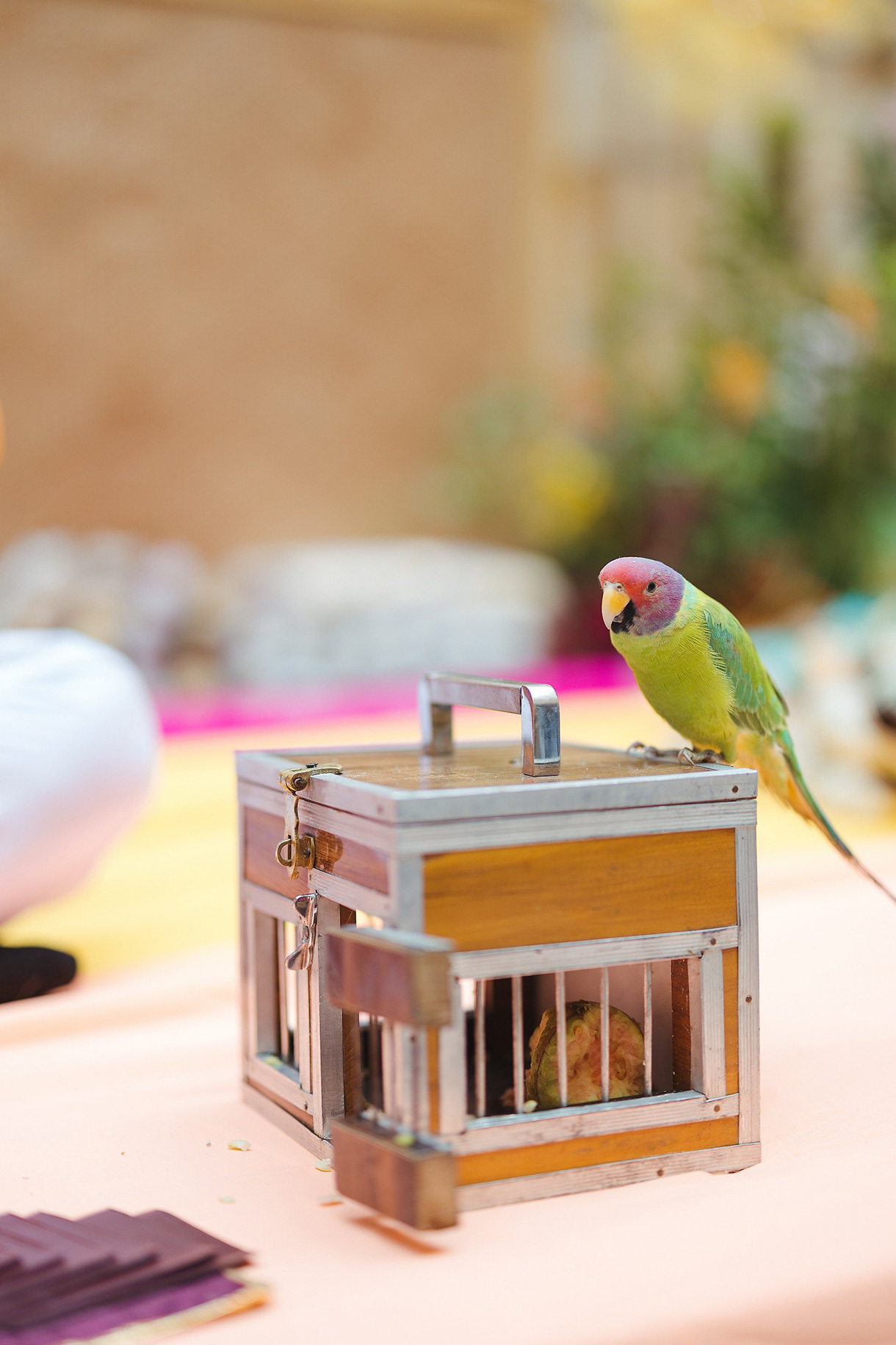 Avanti Goenka and Harshavardhan Singhania