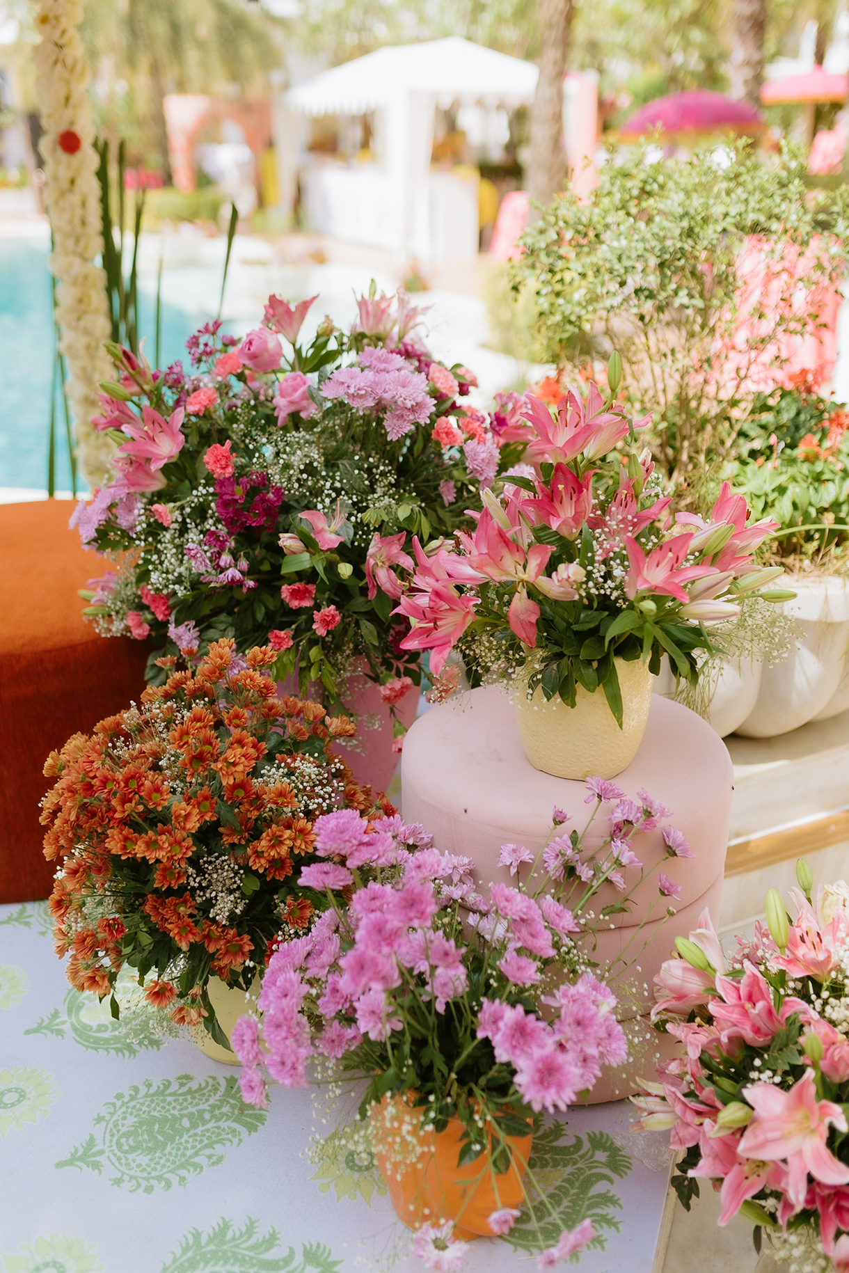 Mahima and Anmol, Jaipur