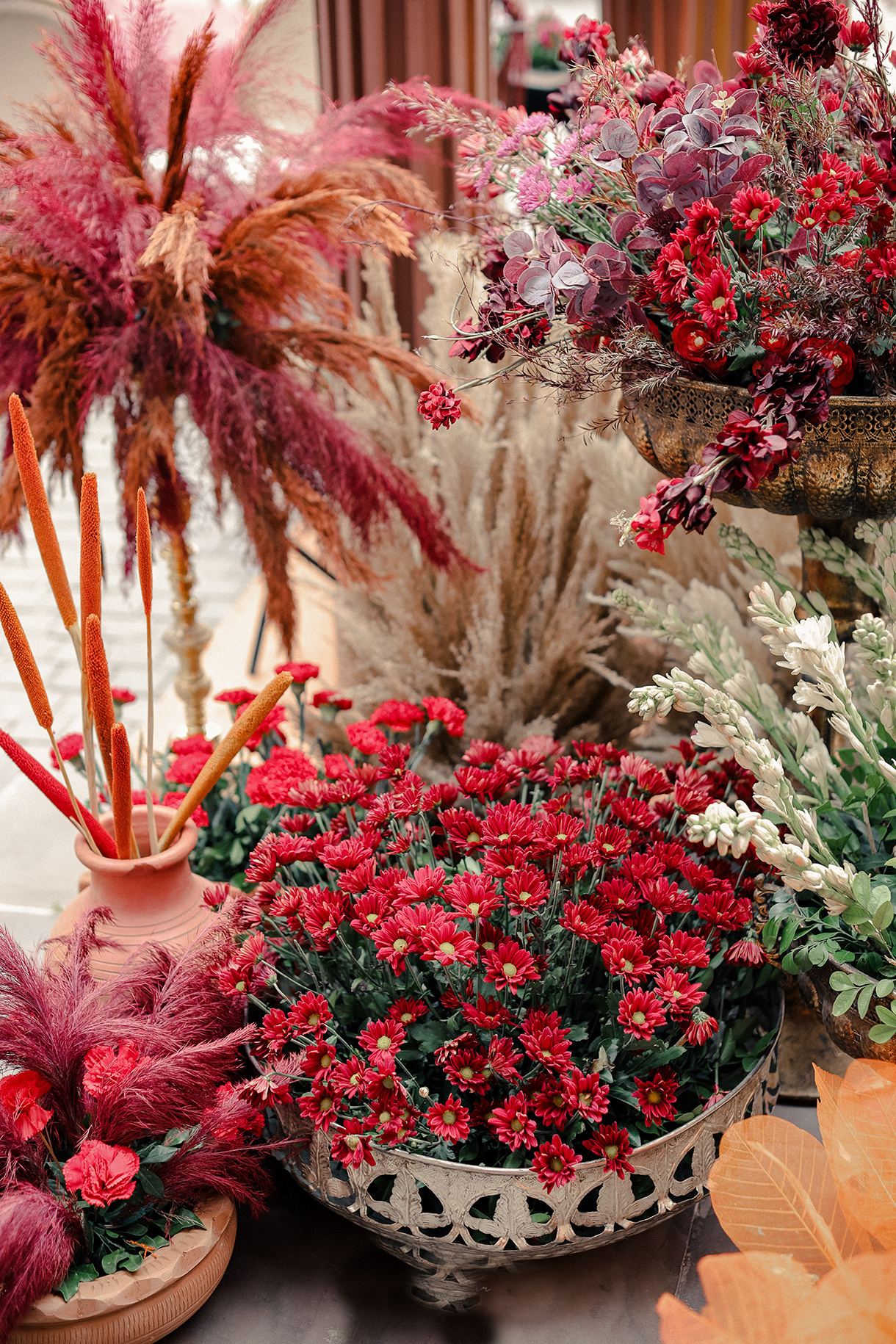 Nada Alameddine and Utsav Akhoury, Jaipur