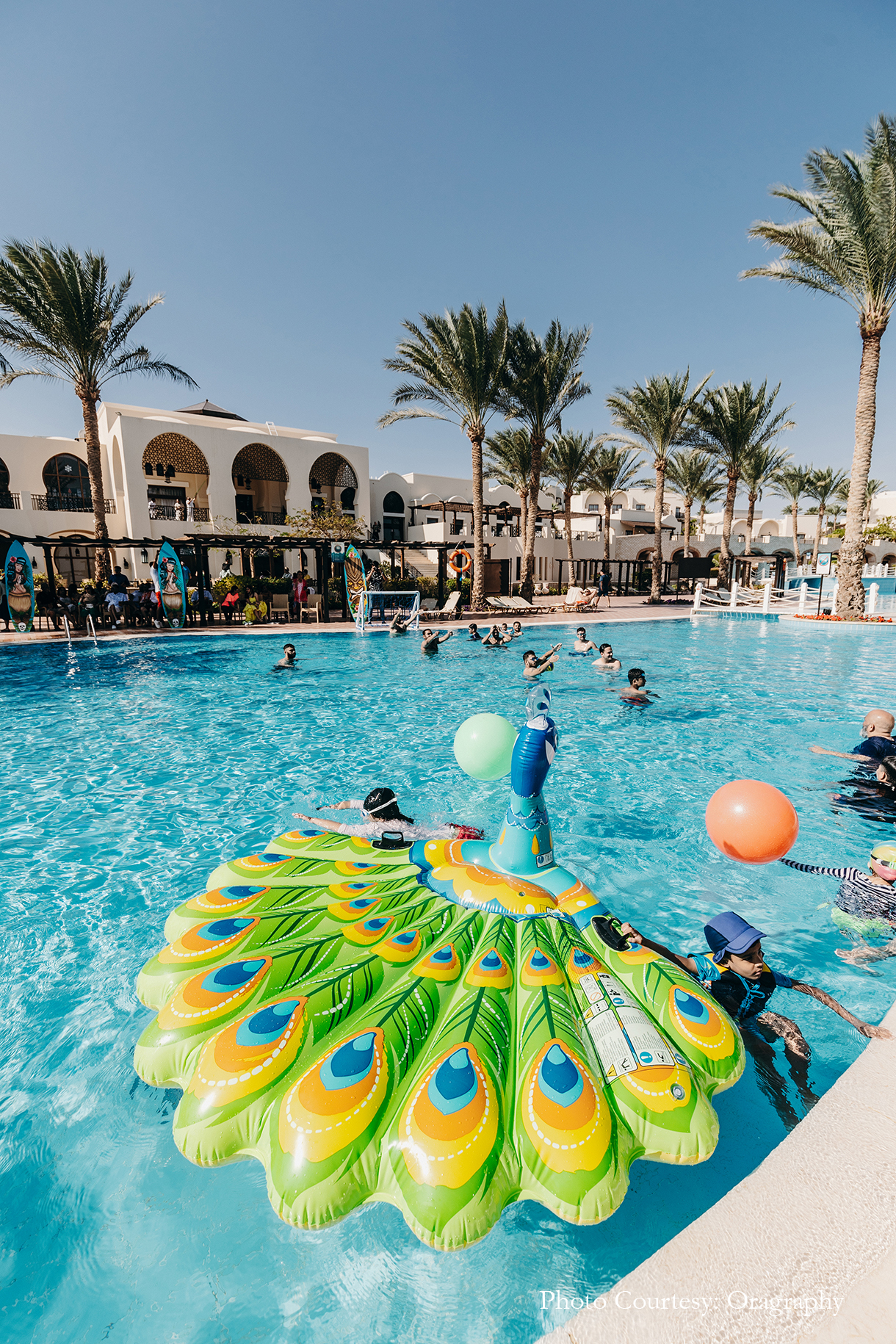 Nikita and Neesh, Jaz Belvedere Resort, Egypt