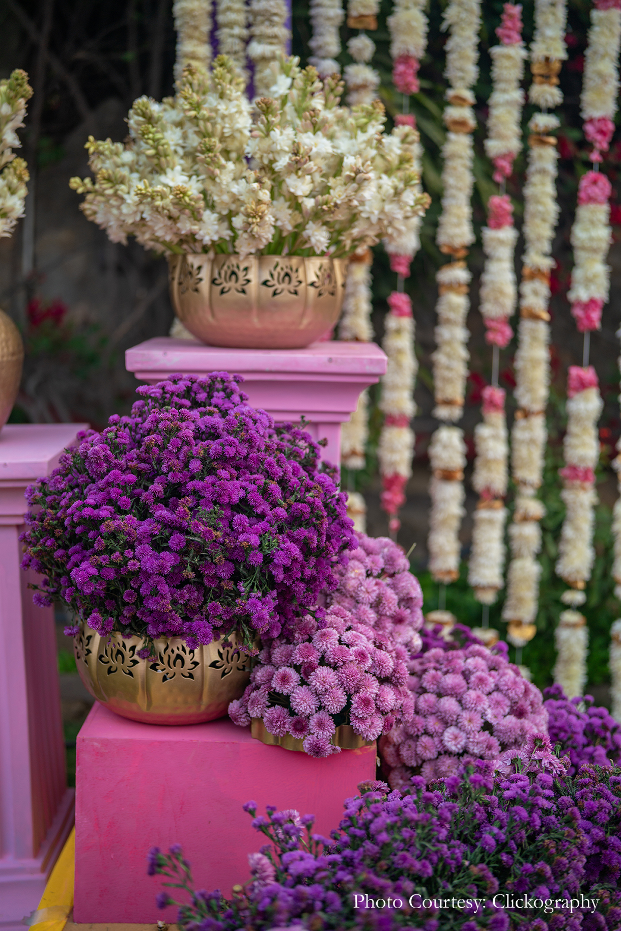 Riya Barot and Jaisal Patel, Pushkar
