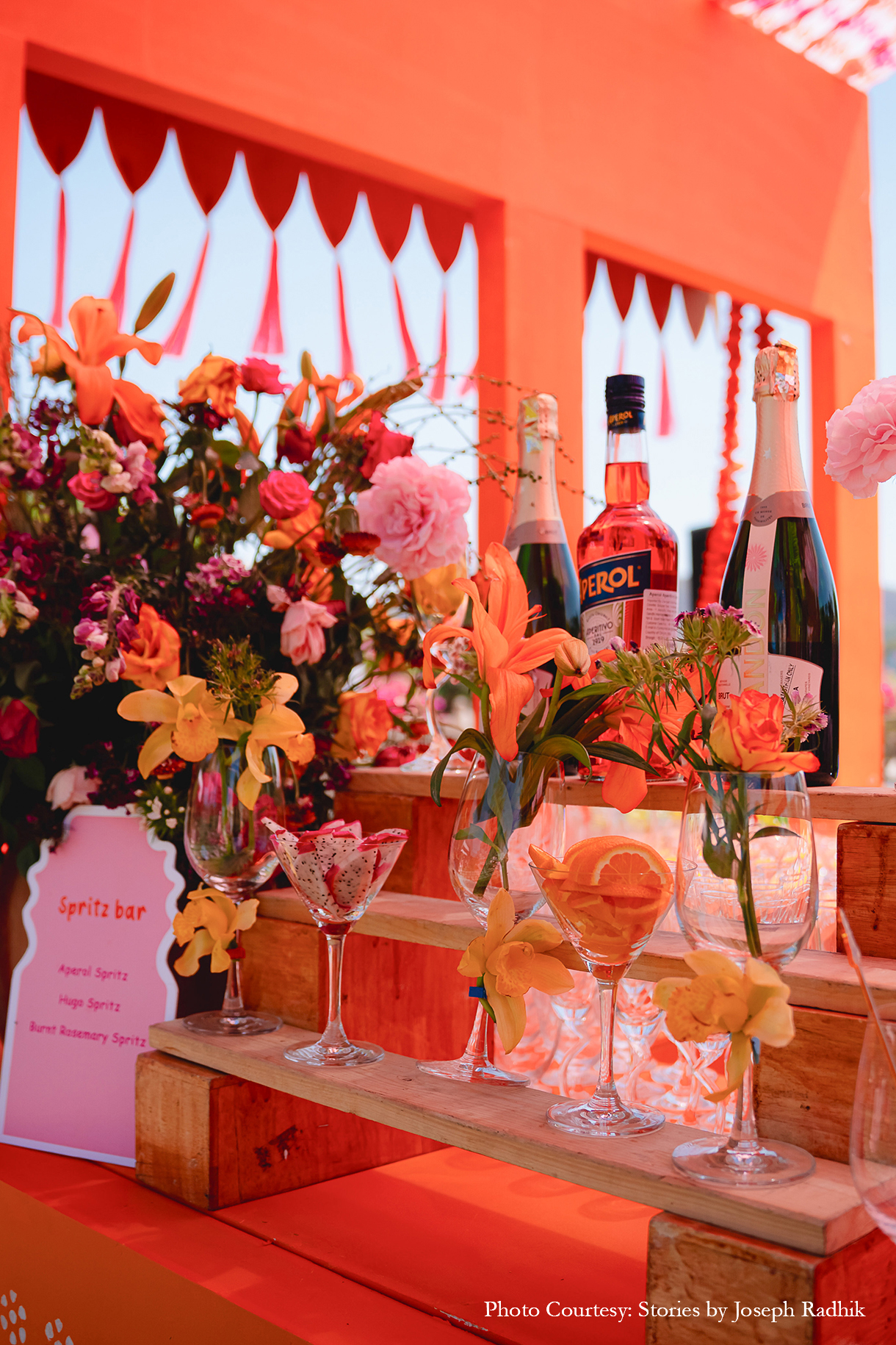 Sahiba and Anirudh, Udaipur