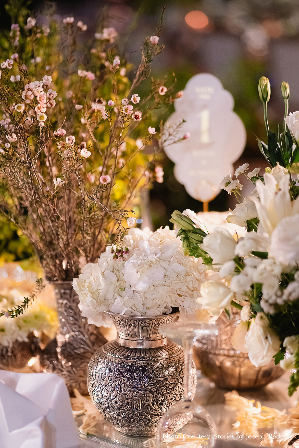 Sahiba and Anirudh, Udaipur