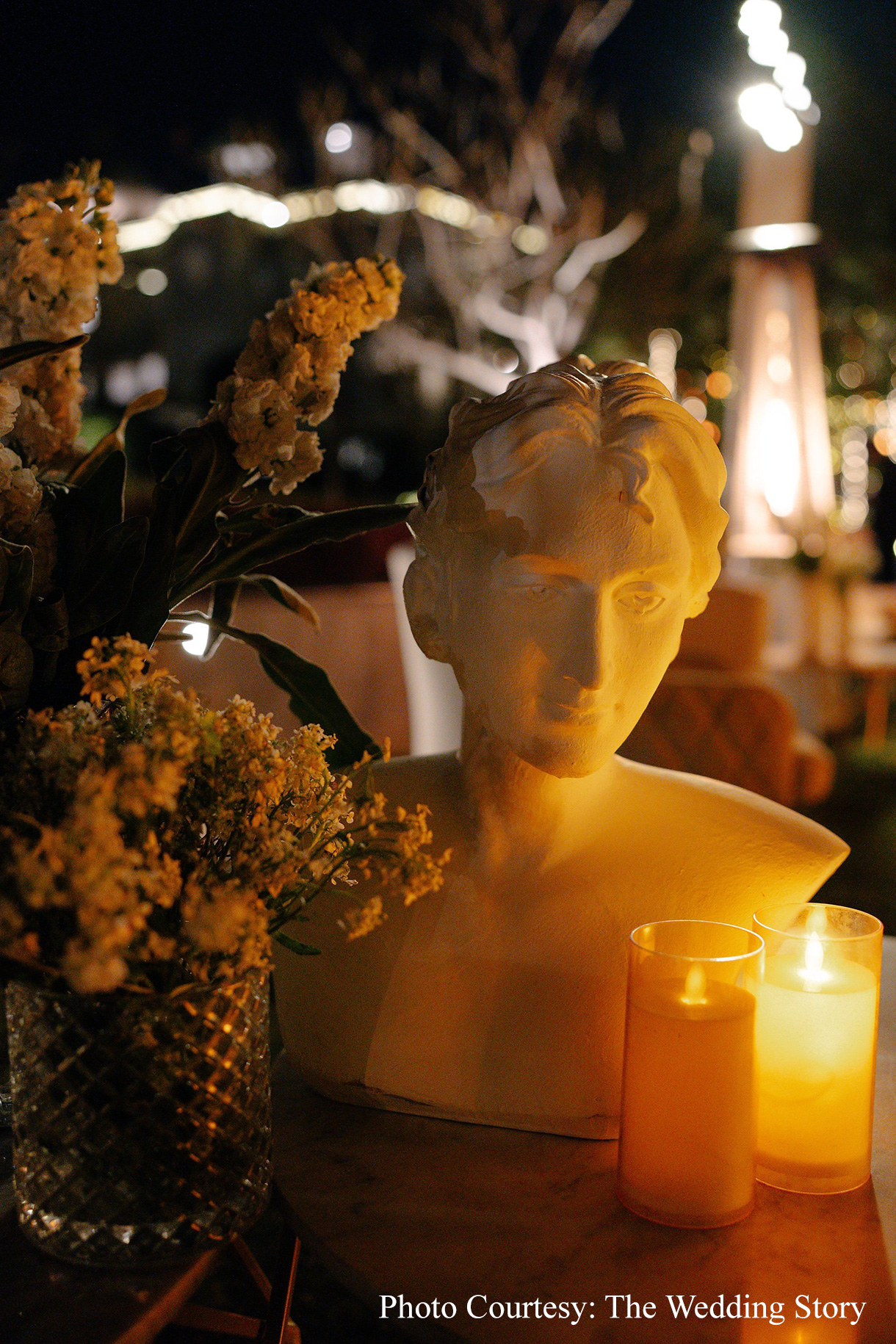 Samya & Shivam, Udaipur