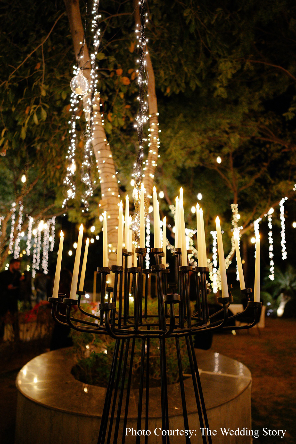 Samya & Shivam, Udaipur