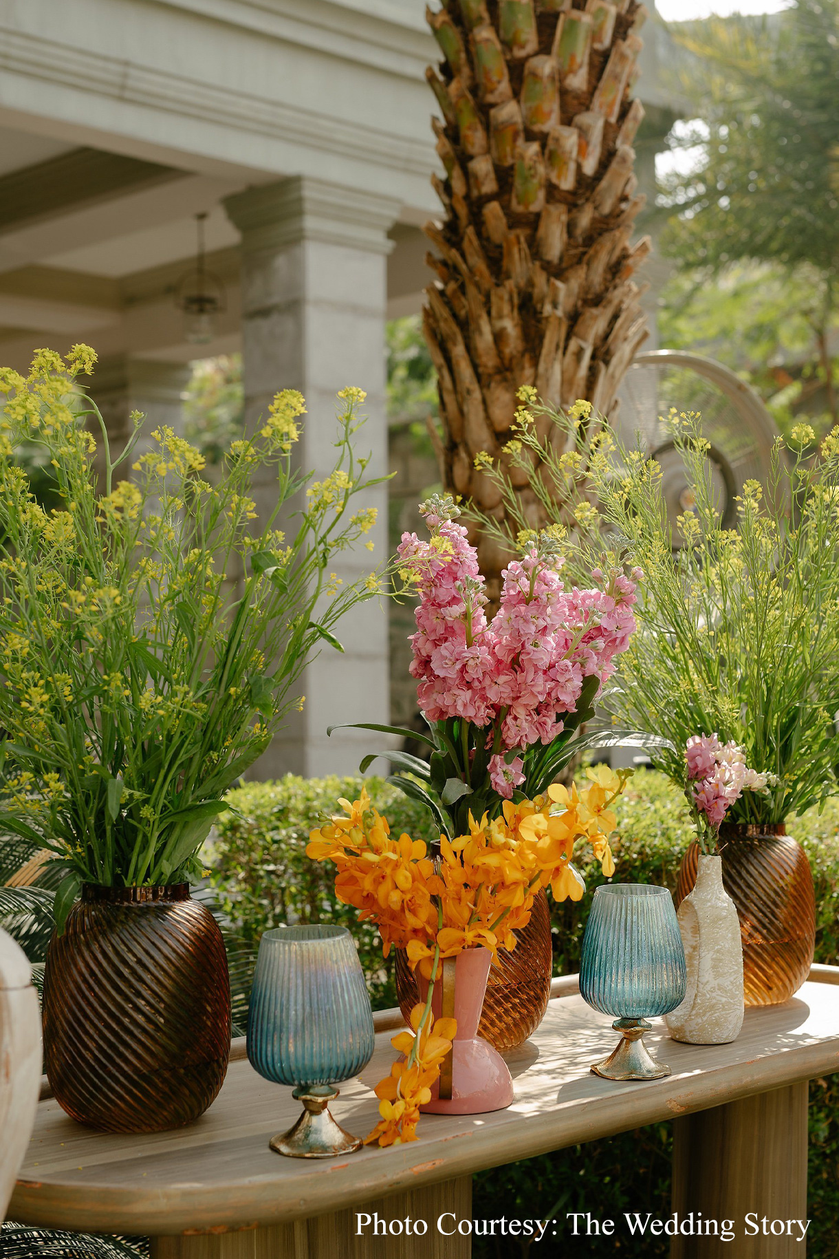 Samya & Shivam, Udaipur