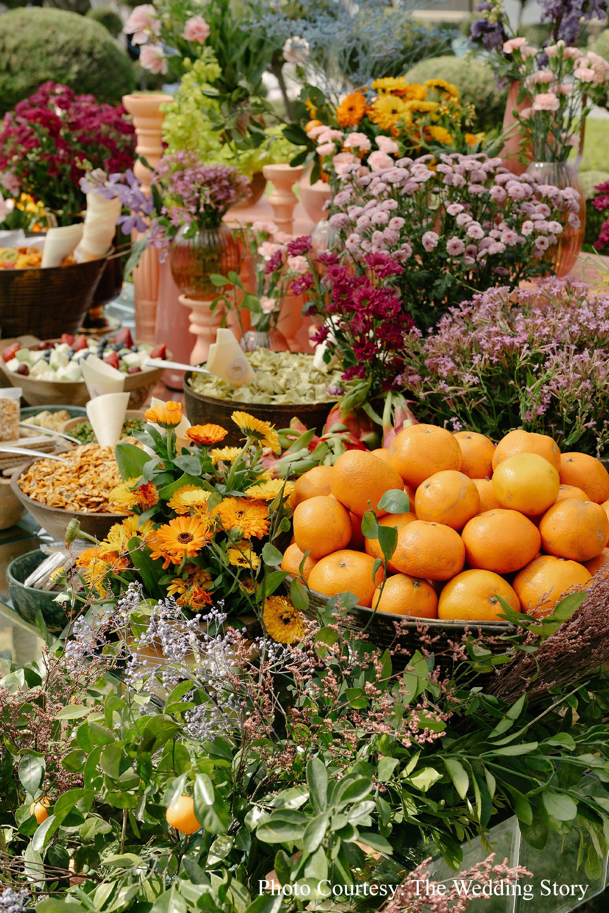 Samya & Shivam, Udaipur