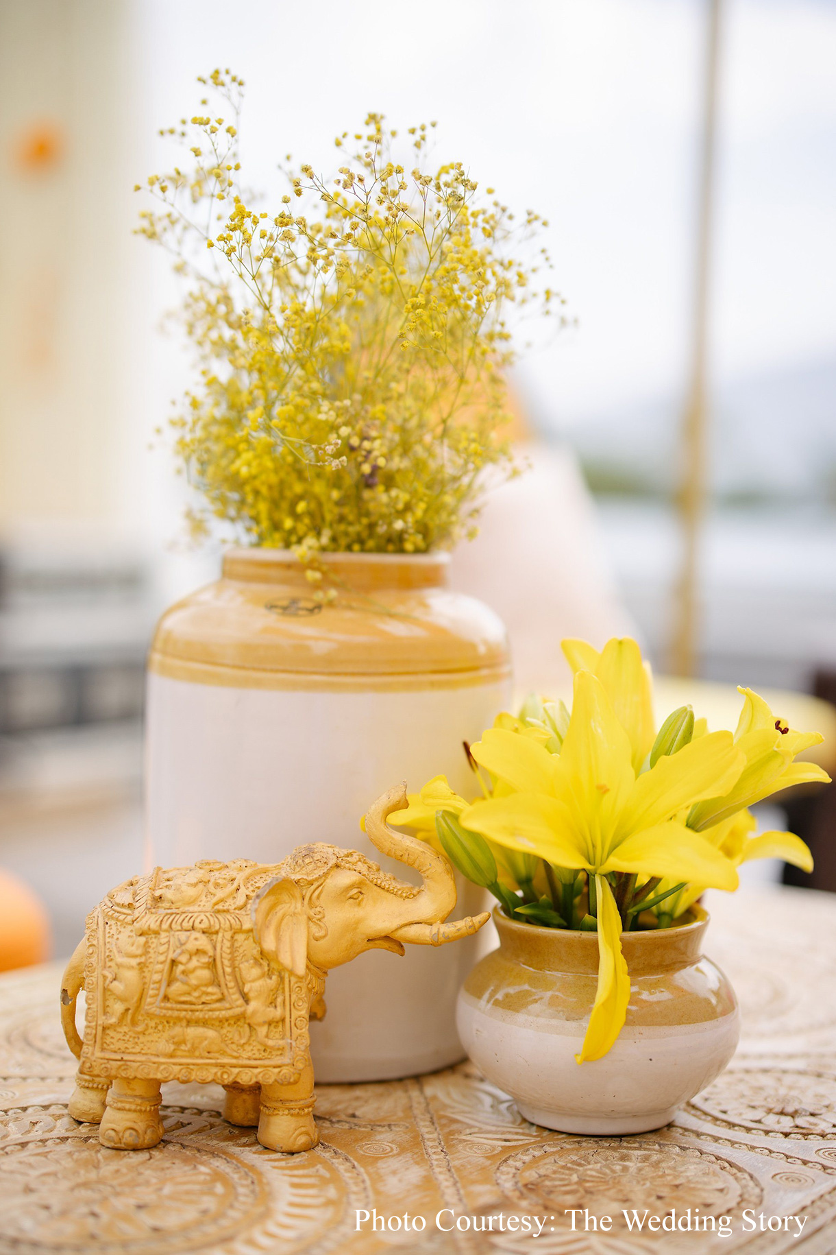 Samya & Shivam, Udaipur