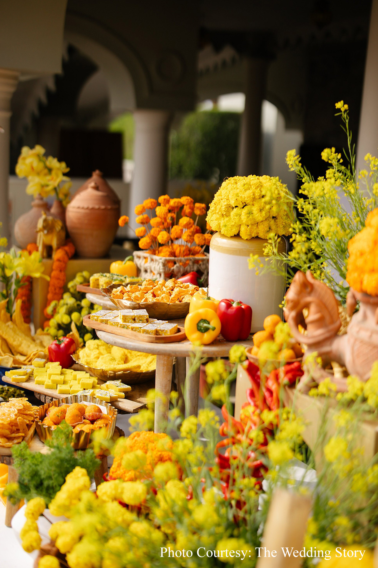 Samya & Shivam, Udaipur