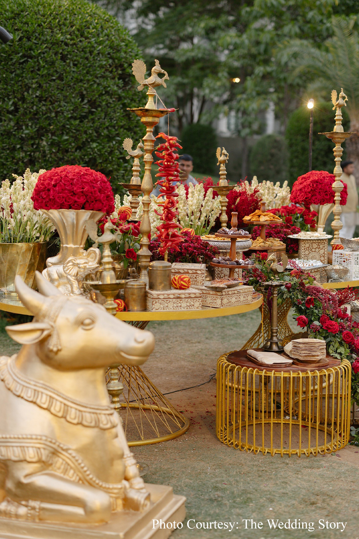 Samya & Shivam, Udaipur