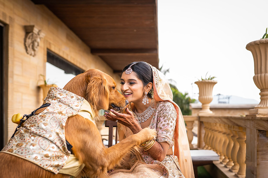 Pet Wedding Photography