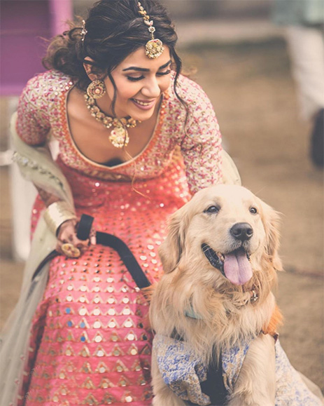Pet Wedding Photography