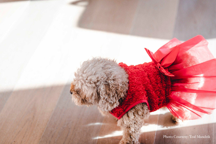 Ankita and Akshan, San Jose, US Ankita and Akshan, San Jose, US