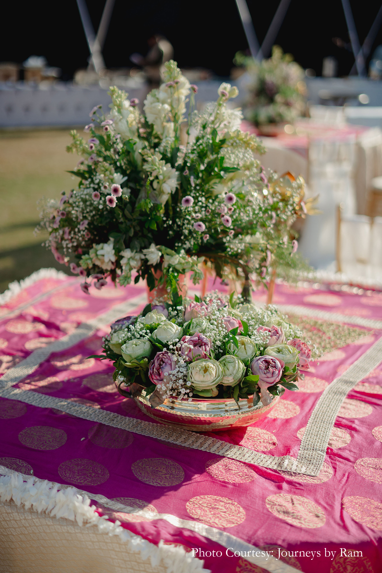 Abhinaya and Avi, Udaipur