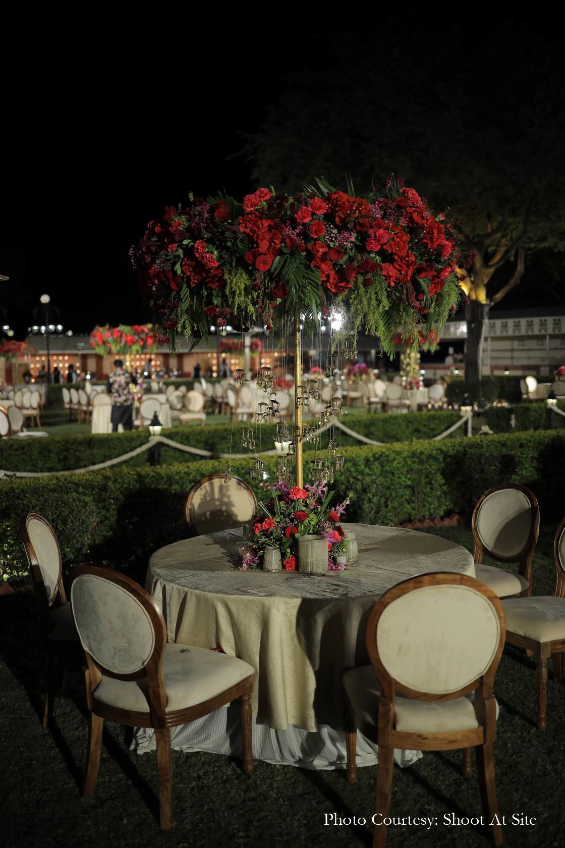 Ayushi Chaplot and Ashish Ranka, Udaipur