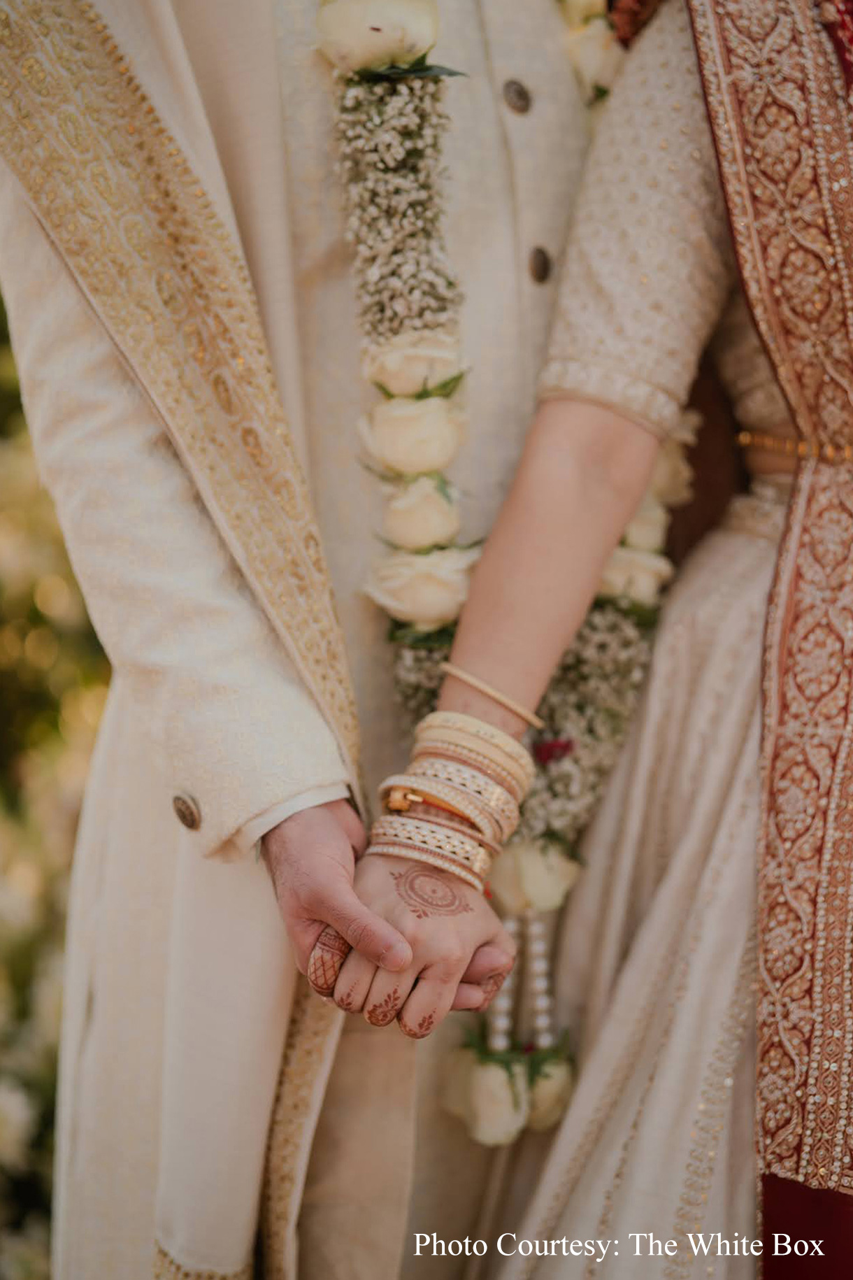 Jinal and Sarthak, Jim Corbett