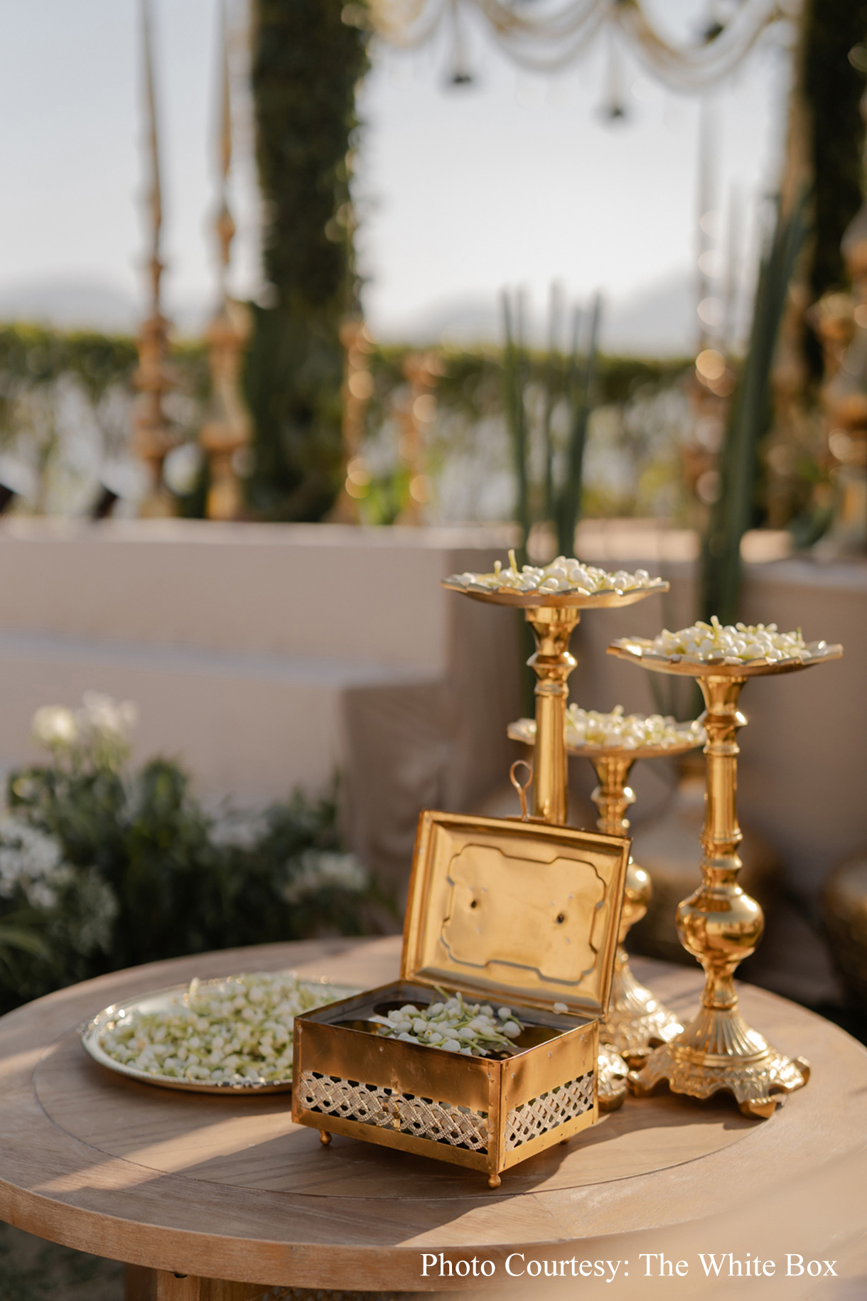 Jinal and Sarthak, Jim Corbett