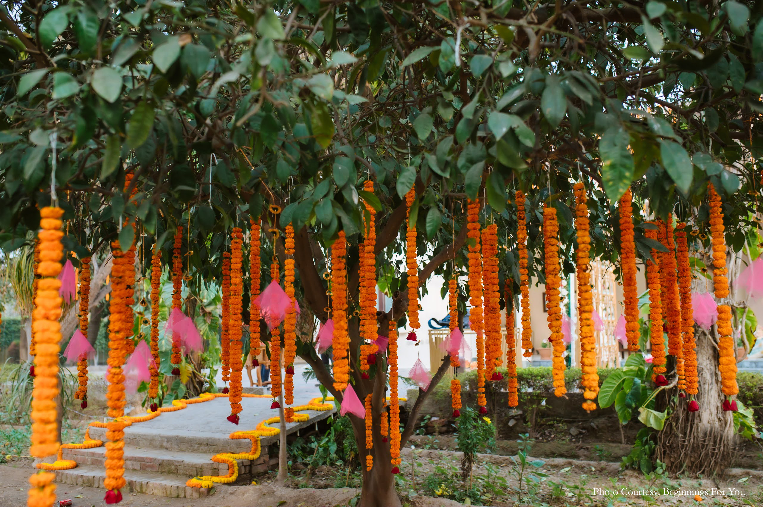 Nehmat and Sidhant, Firozpur