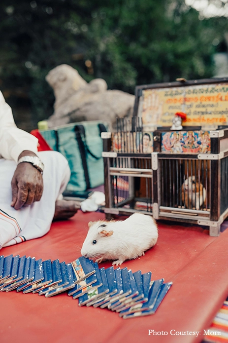 Sahana Sridhara and Vishal, Bengaluru Sahana Sridhara and Vishal, Bengaluru