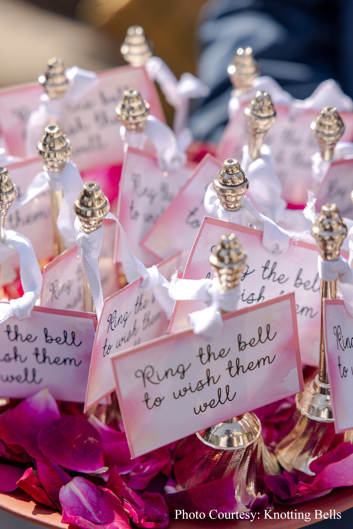 Swati & Tanishq, Jim Corbett