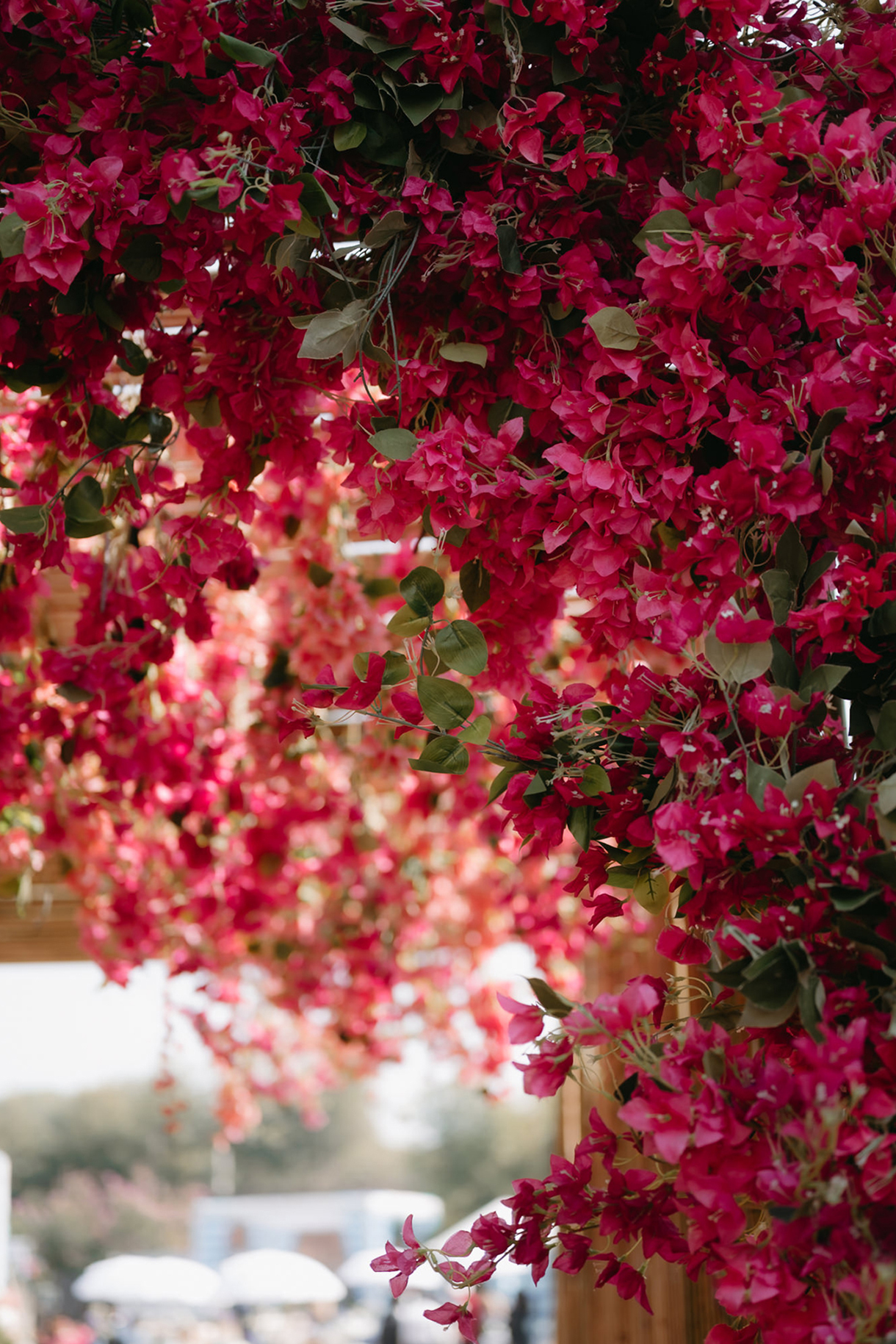 Tanya and Priyank, Ananta Spa & Resort, Jaipur