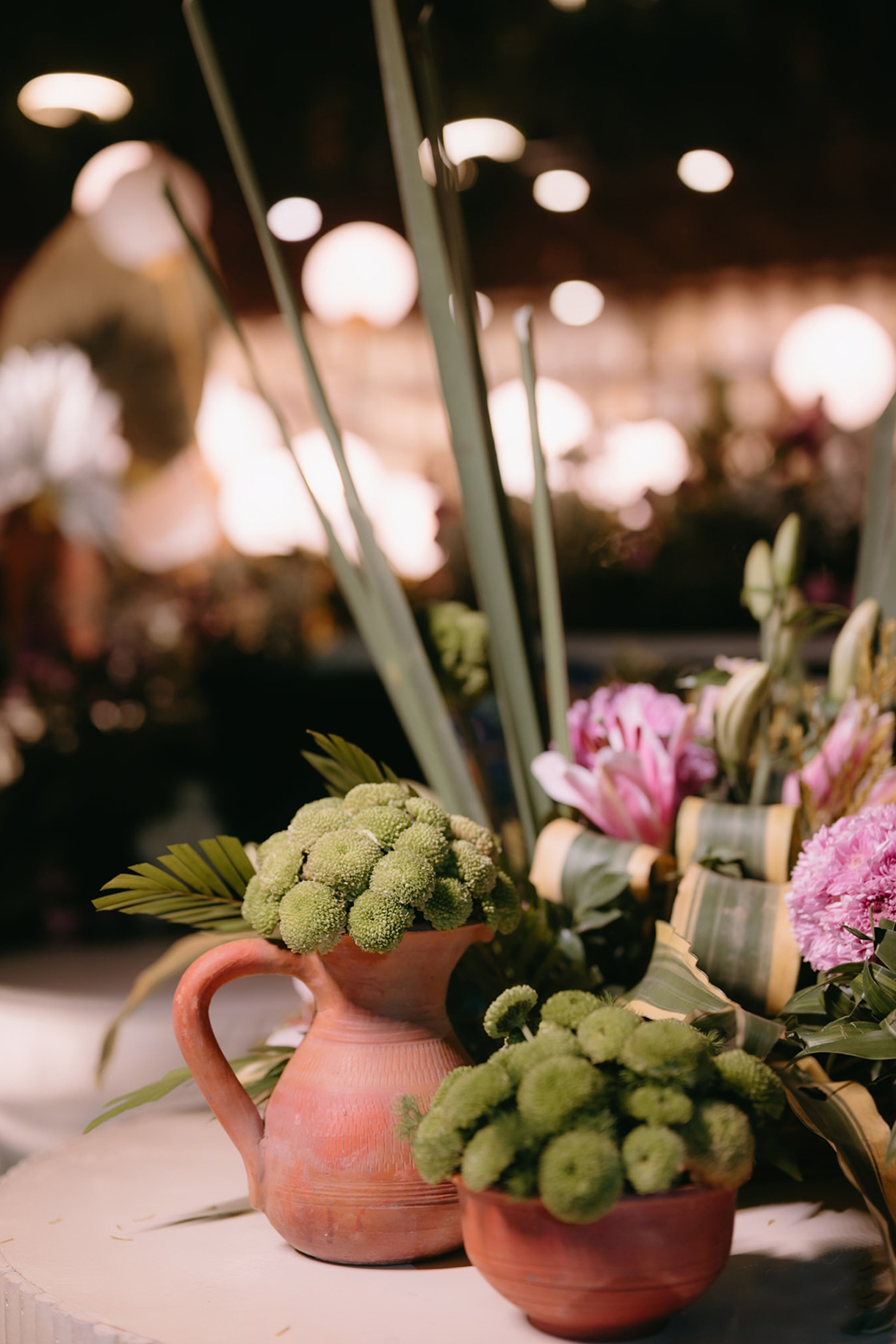 Tanya and Priyank, Ananta Spa & Resort, Jaipur