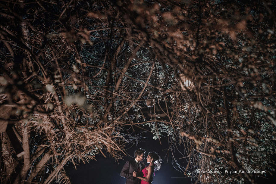 Aditi and Armaan’s Pre-wedding Shoot in the Heart of Wilderness, Kabini